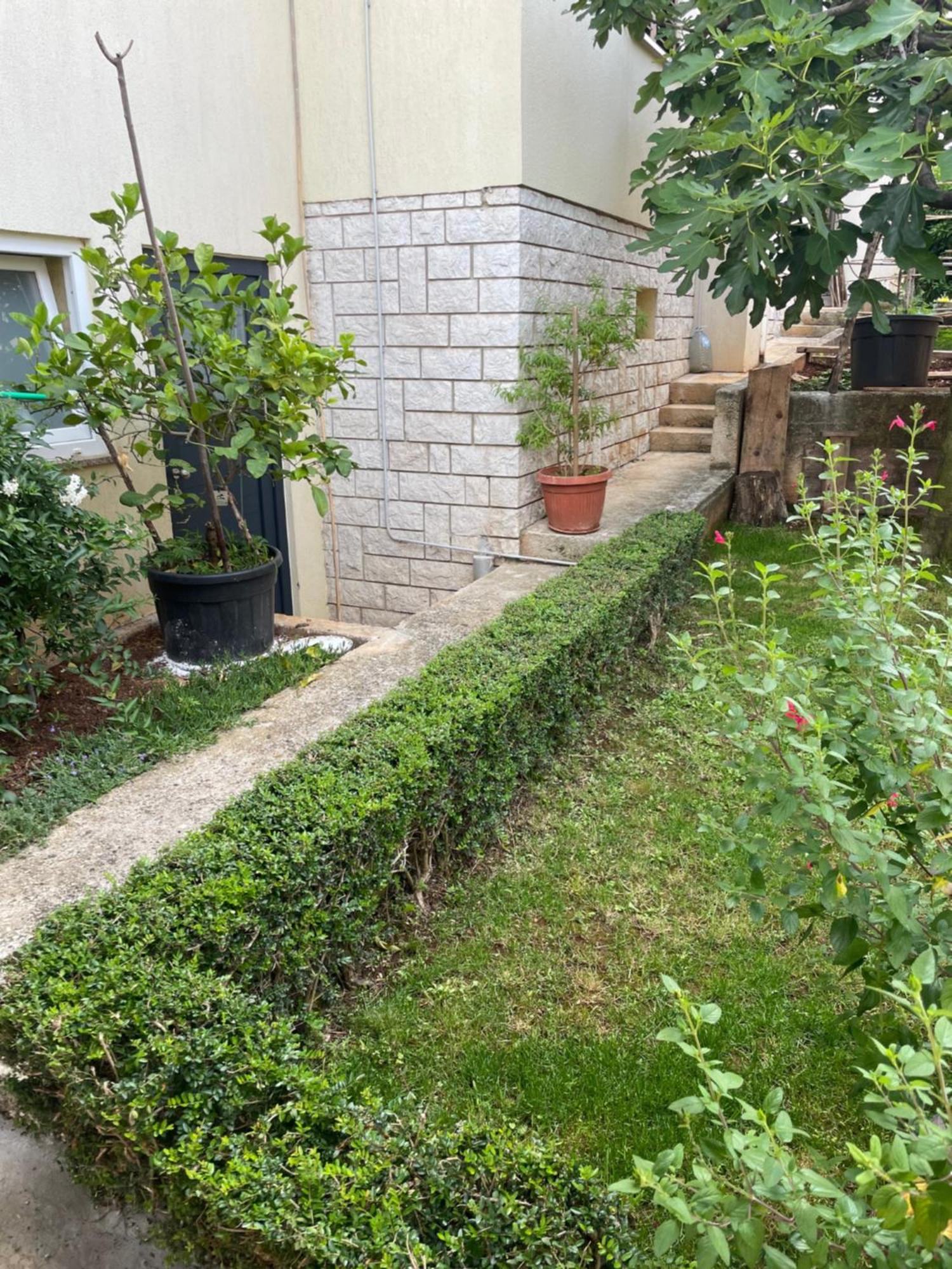 Apartmani Darko Rovinj Eksteriør billede